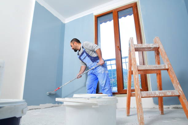 Trusted Northview, MI Mold Removal Experts