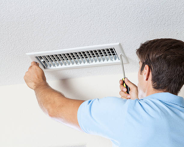Best Mold Prevention Services  in Northview, MI