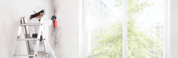 Best Post-Remediation Verification Testing  in Northview, MI