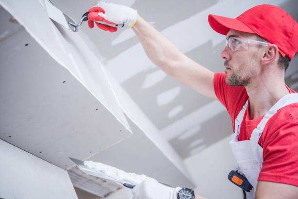  Northview, MI Mold Removal Pros
