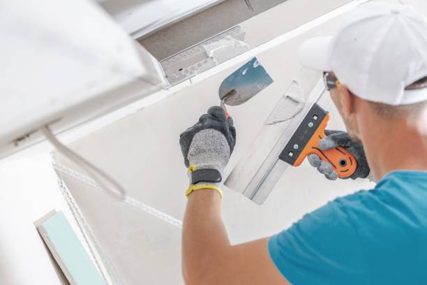 Best Environmental Consulting for Mold Prevention  in Northview, MI
